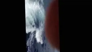black marlin off cape point on live bait