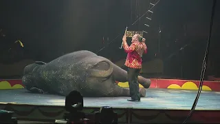 Shrine Circus holds free performance for special needs children