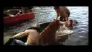 Tiger jumps in boat with people