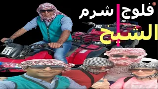 حاجات لازم تعملها في شرم الشيخ2020