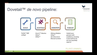 Dovetail Genomics: De Novo Genome Assembly