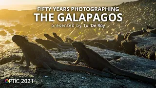 Fifty Years Photographing the Galapagos Islands with Tui De Roy | OPTIC 2021