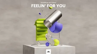 Triangle Alliance - Feelin' For You