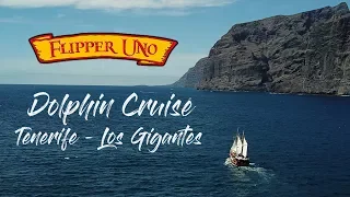 Dolphin sail Flipper Uno Los Gigantes Tenerife 2018