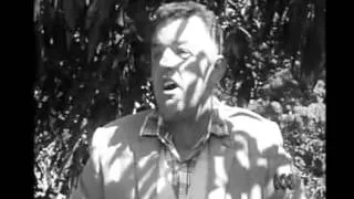 Four Corners: Hallelujah - Speakers Corner, The Domain, Sydney (1966)