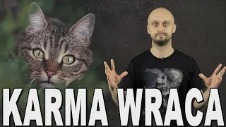 Karma wraca - historia kotów. Historia Bez Cenzury