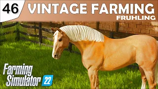 The horses are breeding - VINTAGE FARMING 46 | Farming Simulator 22 | FS22