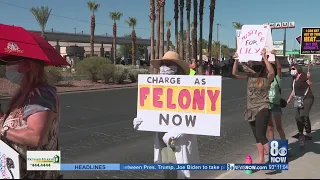 Protesters demand justice for Lily, want stricter animal cruelty laws in Nevada