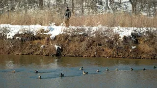 Discover Bloomington: Bass Ponds Trail Tour with the Minnesota Valley National Wildlife Refuge