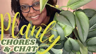 End of Houseplant Season Chores & Chat W/Me  | Let's Get Those Pesky Things off the Todo List Now