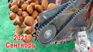 💥. Potato digger Cosmos. Want to see how it works right now?