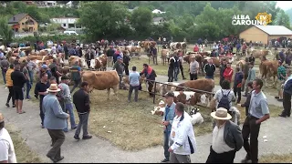 Deschis după 4 ani. Târgul de animale de la Câmpeni