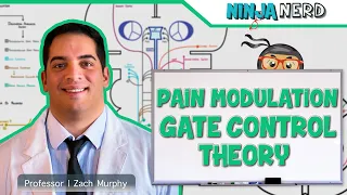 Ascending Tracts | Pain Modulation: Gate Control Theory
