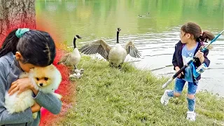 We Can't BELIEVE They GOT ATTACKED By DUCK'S!!! ** SCARY**