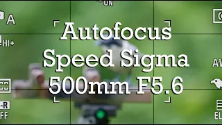 Autofocus Speed Sigma 500mm F5.6 DG DN OS E-Mount