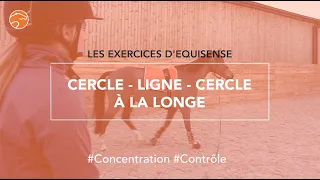 🐴L'exercice Cercle ligne cercle à la longe