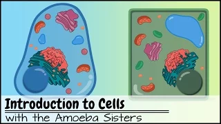 Introduction to Cells: The Grand Cell Tour