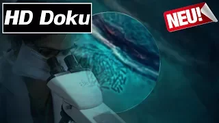 Doku (2017) - Tödliche Supererreger: Der unsichtbare Feind - HD/HQ