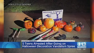 Five teenage suspects arrested after Halloween decoration vandalism spree in Roseville