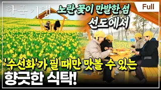 [Full] 한국기행 - 고수의 봄 밥상 3부 선도, 수선화 필 때면