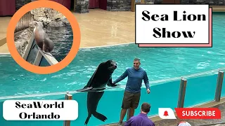 Unbelievable Sea Lion Show and Otter spotlight at Sea World Orlando, Florida I TravelFreak Videos