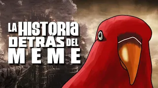 Pajaro rojo riendo | La Historia Detrás del Meme