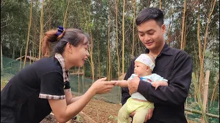 Farming Family | Harvesting vegetables to sell, Using manure for vegetables, making truss cowpeas