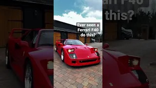 Ever seen a Ferrari F40 do this? #ferrari #supercars #carslover