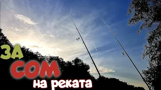 СОМ на РЕКАТА. РИБОЛОВ на ДЪНО