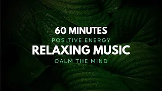Relaxing Music | Relieve Stress and Chronic Fatigue | Stop Overthinking | Positive Energy