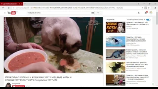 4 ПРИКОЛЫ С КОТАМИ И КОШКАМИ 2017 СМЕШНЫЕ КОТЫ И КОШКИ 2017 FUNNY CATS Compilation 2017 #52   YouTub