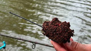 Letní krátké rybaření - papučový method feeder