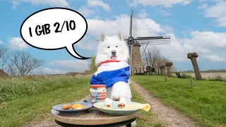 Travel Dog reviews Food in The Netherlands