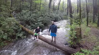 Visit Cozy Cub Cabin in the mountains of Blue Ridge, Georgia!