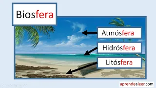 Biosfera atmosfera litosfera hidrosfera