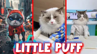 That Little Puff | COMEDY VIDEOS | MAY 2024