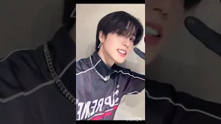 кричалка stray kids