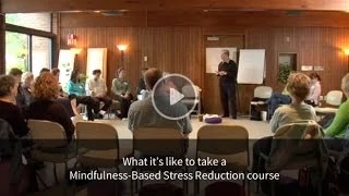 The Stress Reduction Program