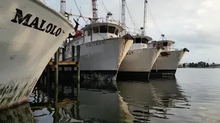 Fort Myers Beach shrimpers face Uncertain waters post-Hurricane Ian