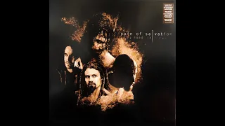 Pain Of Salvation – Road Salt Two (2011) [VINYL] Full - album