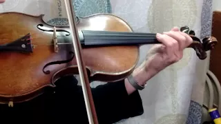 Nicolaus Amatus Violin Replica