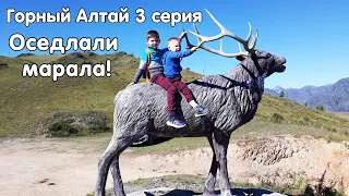 Горный Алтай 2020 ч.3 | Ороктойский мост | Бельтертуюк | Петроглифы | Куюс | Пробуем Алтайский мед