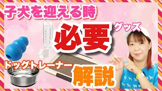 子犬を迎える時に必要なグッズをドッグトレーナーが解説＆ご紹介　犬用品編【保存版】