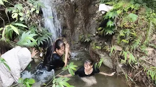 peek at the girl harvesting wild bees bathing under the cool waterfall| ly thi huyen daily life