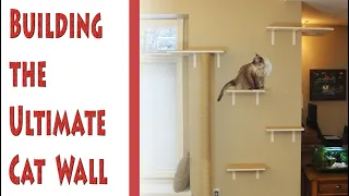 DIY Design and Build A Cat Wall