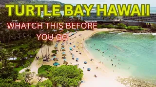 Unveiling the $$$$ 2023 Turtle Bay Resort - Is it Worth it??