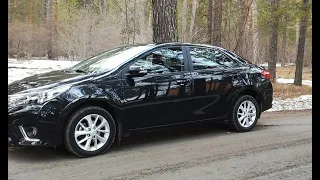 Toyota Corolla (Тойота королла) 2014. 35000 километров пробега. Небольшой обзор