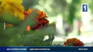 Одесские контрасты