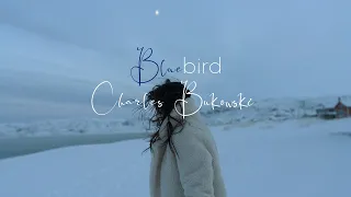 Bluebird - Charles Bukowski ( Read by Tom O'bedlam )