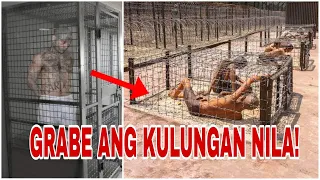 10 Pinaka Delikadong Kulungan sa Buong Mundo!